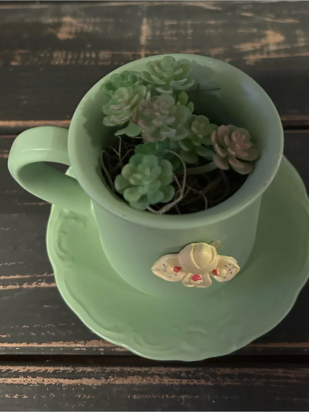 Handcrafted Teacup Succulent Decor “Green”